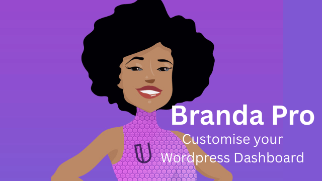 Customise WordPress dashboard with Branda Pro tool.